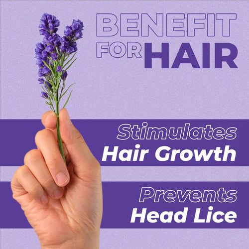 Hand holding a mint leaf with text about its benefits for hair on a blue background