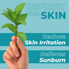 Hand holding green leaves with text about skin benefits on a green background