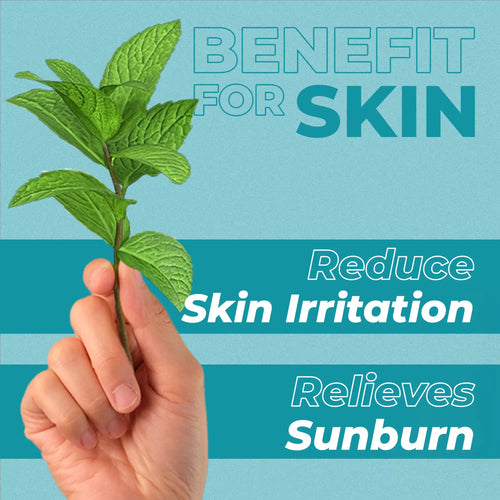Hand holding green leaves with text about skin benefits on a green background
