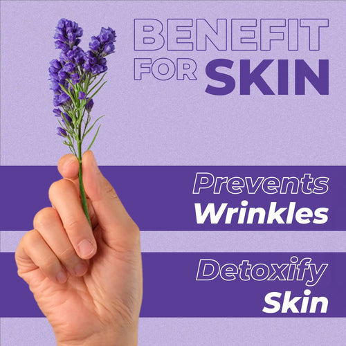 Hand holding a mint leaf with text about skin benefits on a blue background