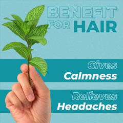 Hand holding green leaves with text about hair benefits of peppermint oil on a green background