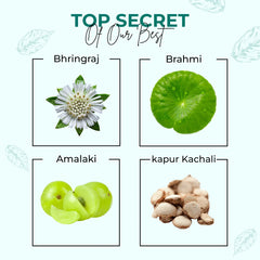 Key ingredients of Lavaya Hair Growth Oil – Bhringraj, Brahmi, Amla and Kapur Kachali for stronger thicker hair