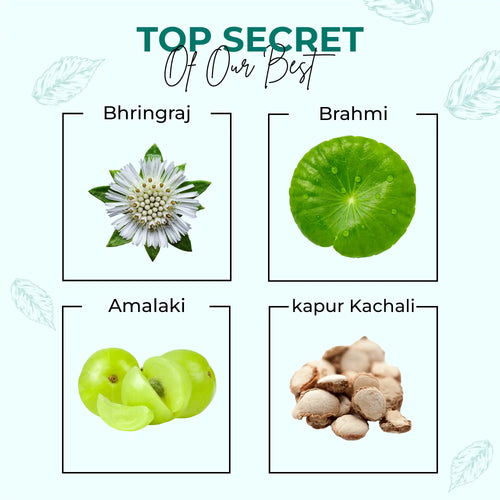 Key ingredients of Lavaya Hair Growth Oil – Bhringraj, Brahmi, Amla and Kapur Kachali for stronger thicker hair