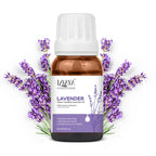 Lavaya Lavender essential oil bottle with lavender flowers on a white background