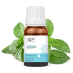 Lavaya Peppermint organic essential oil bottle with peppermint leaves on a white background