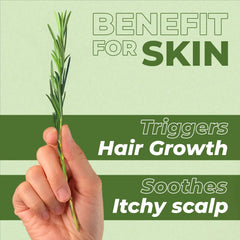 Hand holding a plant with text about skin benefits on a green background