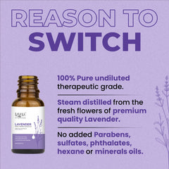 Bottle of Lavender essential oil with product details on a blue background