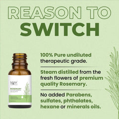 Rosemary essential oil bottle with product details on a green background