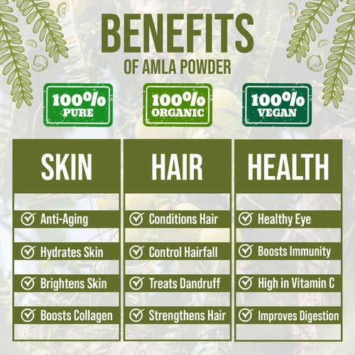 Chart detailing the benefits of Amla powder with a natural leafy background.