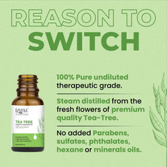 Benefits of Lavaya tea tree oil including purity, steam distillation, and absence of parabens, sulfates, phthalates, hexane or mineral oils