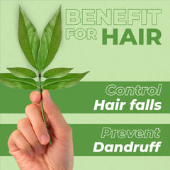 Tea tree leaves held by hand with text highlighting hair benefits including hair fall control and dandruff prevention
