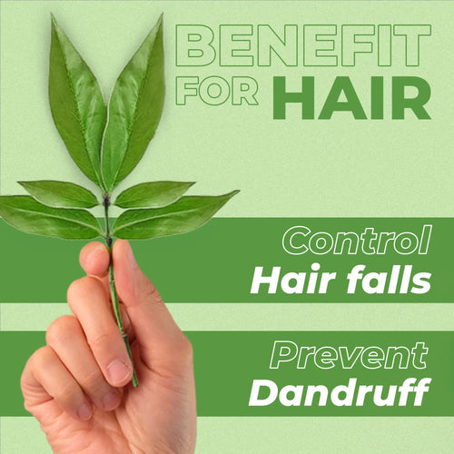 Tea tree leaves held by hand with text highlighting hair benefits including hair fall control and dandruff prevention