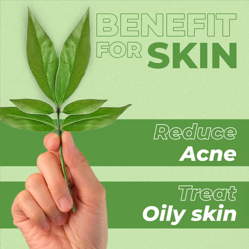 Tea tree leaves held by hand with text highlighting skin benefits