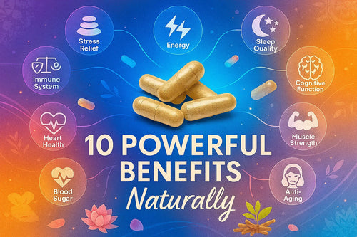 KSM-66 Ashwagandha benefits infographic stress relief energy sleep quality cognitive function muscle strength