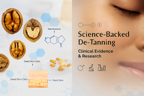 Scientific illustration of D Tan Walnut Scrub showing walnut cross-sections, niacinamide molecular structure, dead skin cells removal process and fresh glowing skin - Evidence-based skincare for de-tanning