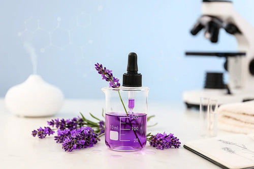 Lavender essential oil in laboratory beaker with fresh lavender and scientific equipment
