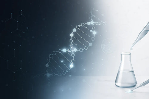 DNA helix with molecular structure and laboratory glassware representing skincare science and biotechnology research