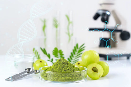 Amla powder with molecular structure and laboratory equipment showing scientific wellness research