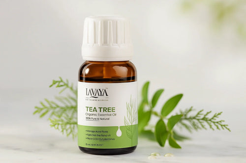 Lavaya tea tree organic essential oil bottle with white cap on neutral background with green leaves