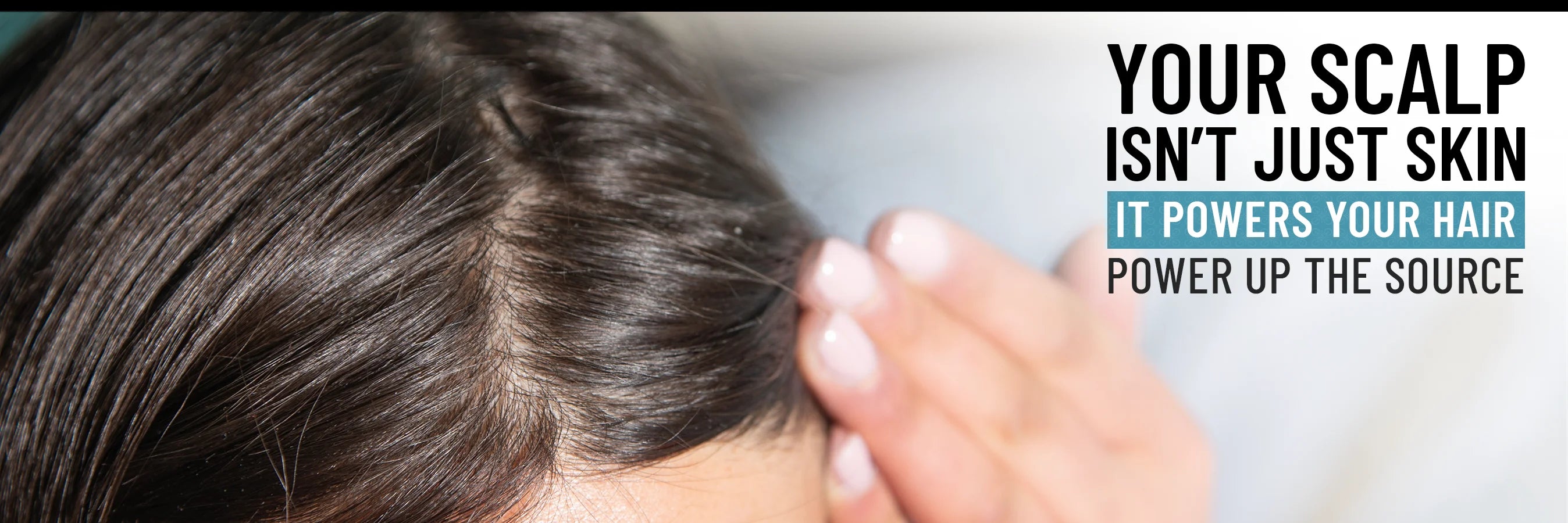 Healthy Scalp, Healthy Hair