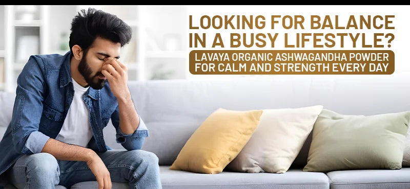 Calm Amidst the Chaos