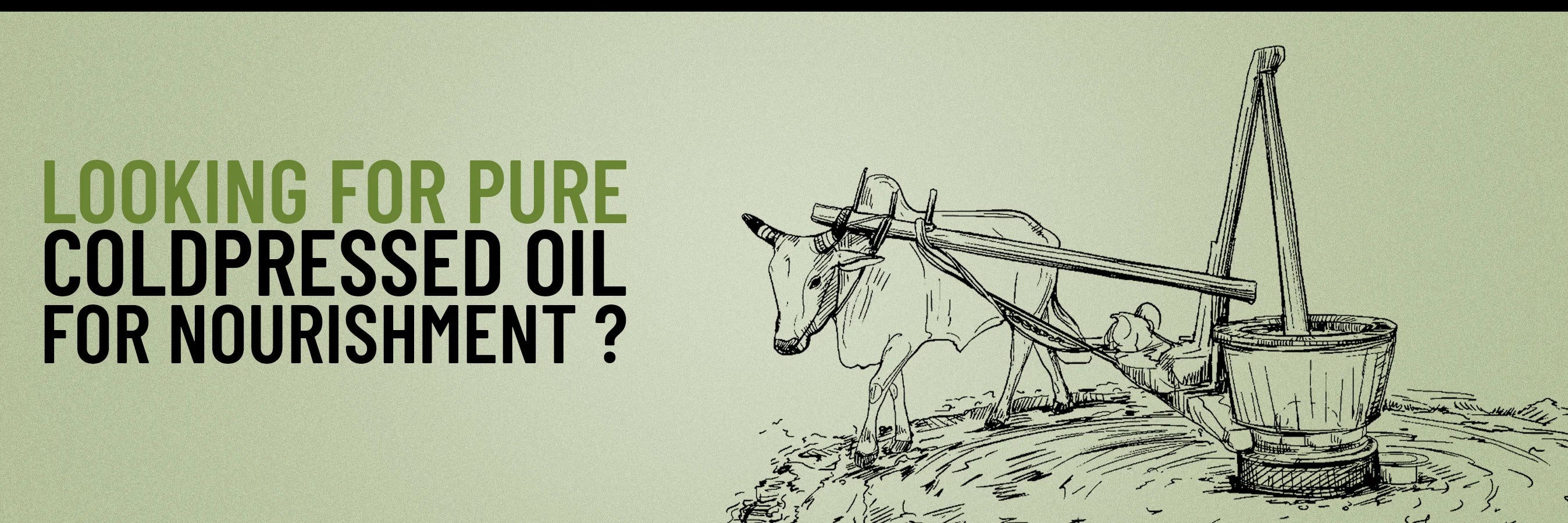 Cold Pressed Olive Oil