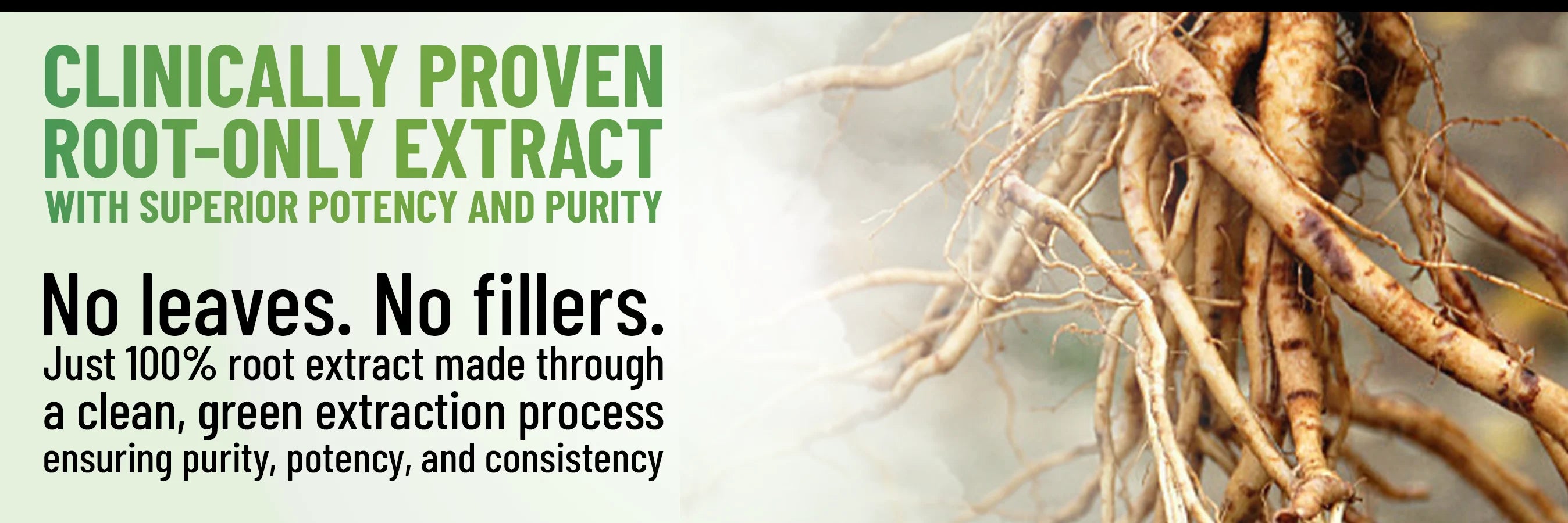 100% Root Extract