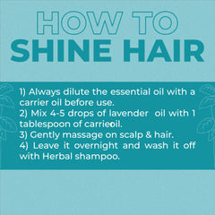 Instructions for hoe to using tea-tree oil to shine hair 