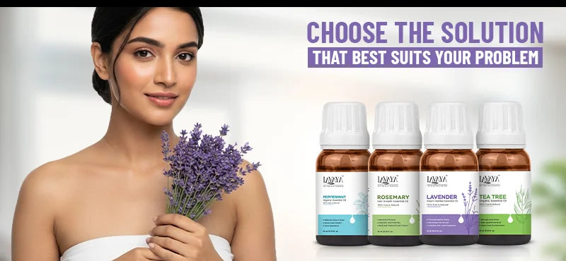 Find Your Perfect Match