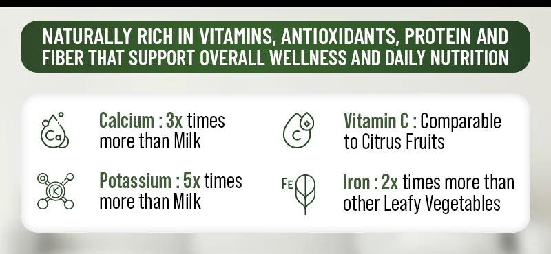 Nature's Multivitamin