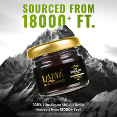 Close-up pile of 100% pure Himalayan Shilajit Resin, sourced from over 18000 feet