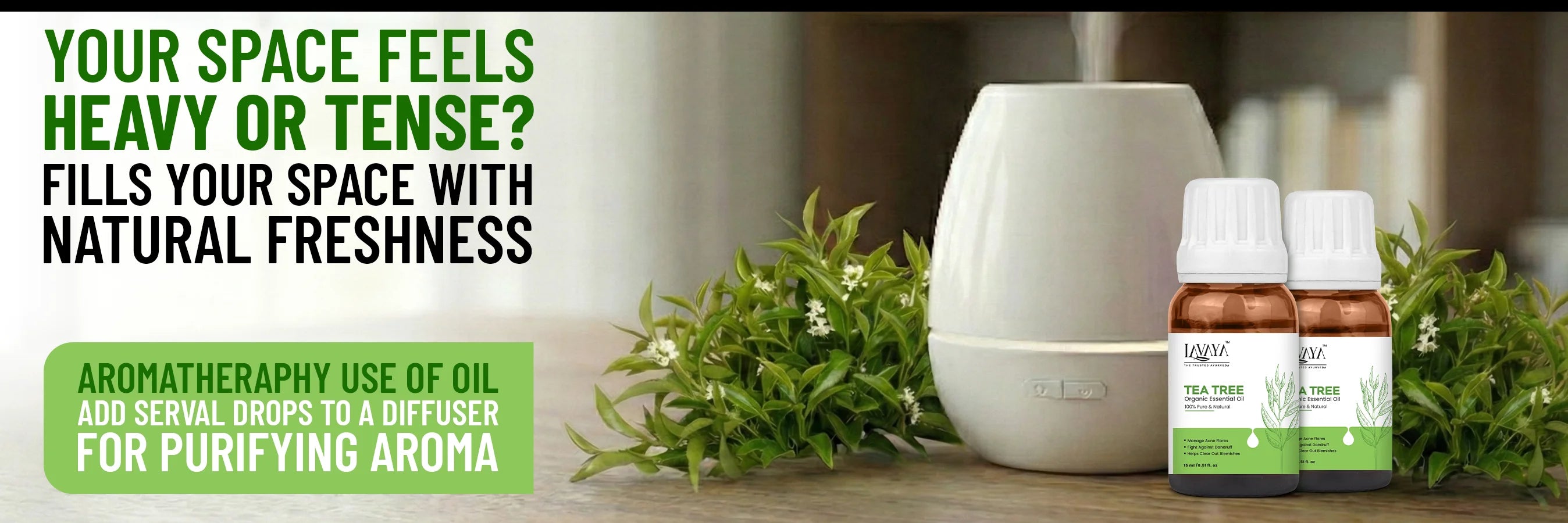 Fresh Air, Fresh Mind