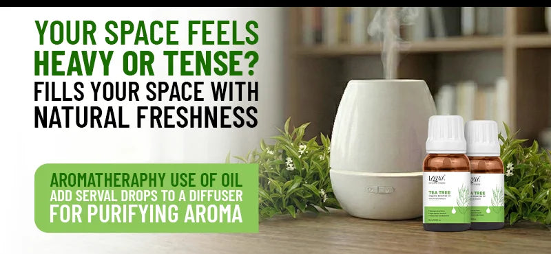 Fresh Air, Fresh Mind